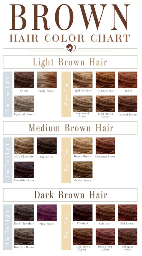 different shades of brown hair color chart
