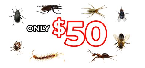 The short answer to this question is yes. Exterminator Nashville TN