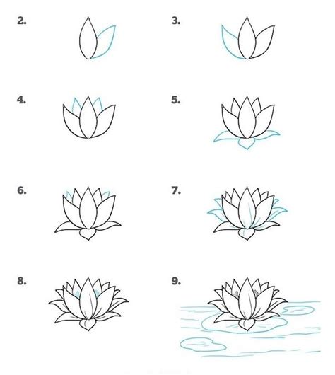 How To Draw A Water Lilly Simple Rose Drawing Step By Step Diy Tutorial