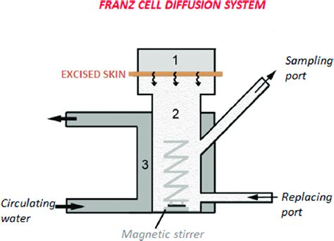 Schematic Representation Of The Franz Cell Diffusion System Modifi Ed