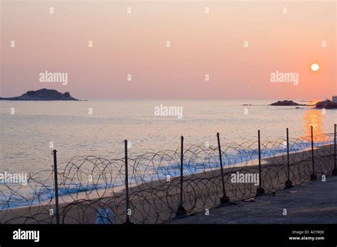 Barbed Wire Guards South Korean Beaches Near Sokcho Close To Border