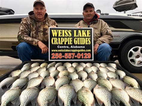 Weiss Lake Crappie Guides 2018 Photo Gallery Photo Gallery
