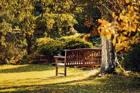 Sicht und lärmschutz für den garten. Sicht- und Lärmschutz für den Garten - Heim-Garten-Tipps.de