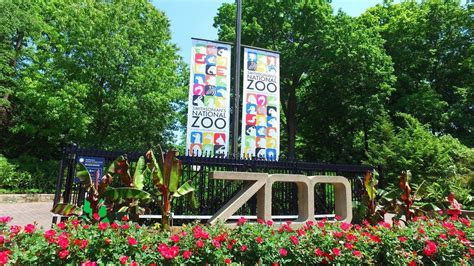 National Zoological Park Washington Dc Smithsonians Zoo