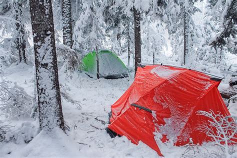 Red Tent In Winter Forest Tourist Camp In Snowy In The Snow In Stock