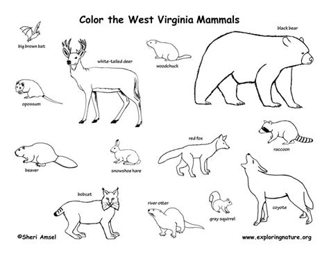 Use our special 'click to print' button to send only the image to your printer. West Virginia