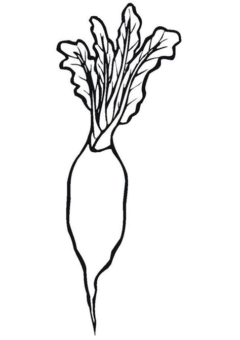 Radish Vegetables For Kids Printable Free Coloring Pages - Barry