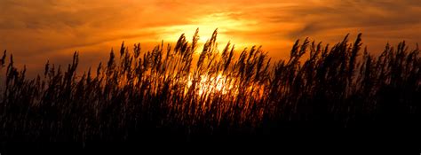 Facebook titelbilder stellen ihre persönlichkeit dar. Sonnenuntergang - Facebook Titelbilder für dich!