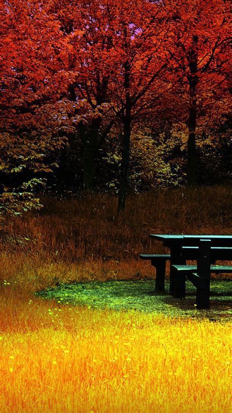 Check spelling or type a new query. 25 Fall iPhone Wallpapers
