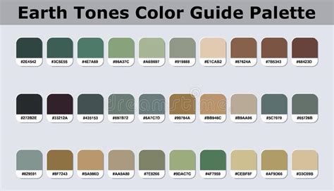 Earth Tones Color Palette Catalog Sample With Rgb Hex Codes In Isolated