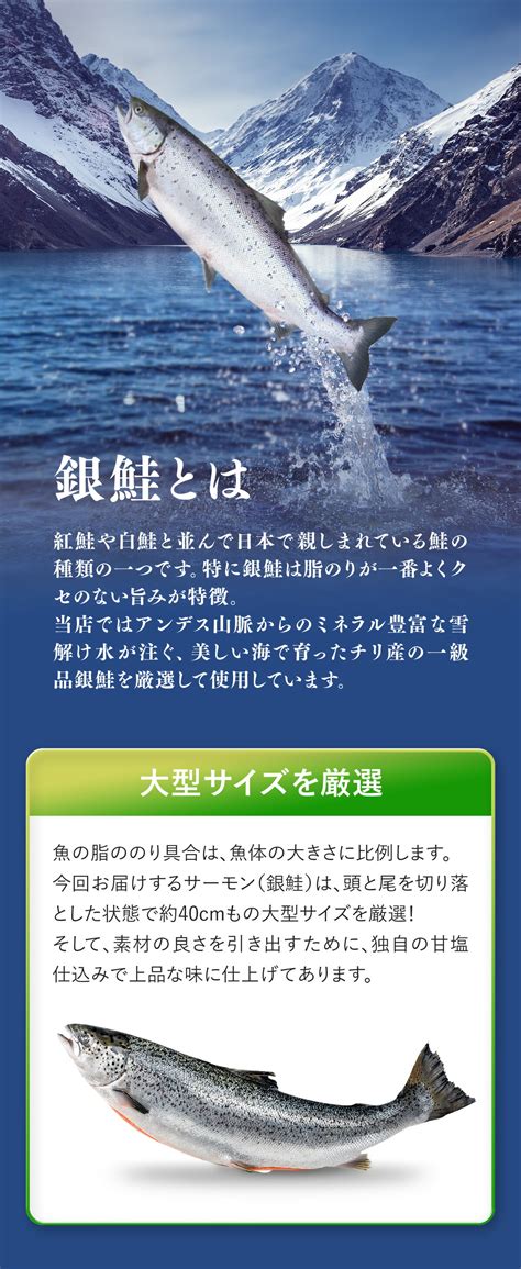 【楽天市場】半額クーポンで9980円⇒送料無料4990円！有塩or無塩が選べる！⇒銀鮭 切り身 業務用 たっぷり2kg（1kg×2袋