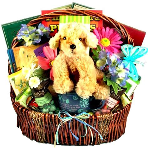 We have more than 15 years of experience in offering gifts across all events in usa. Gift Basket To Encourage and Lift Your Spirits