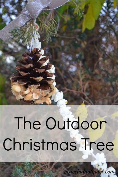 The Outdoor Christmas Tree