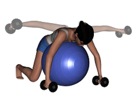 Exercices Pour Muscler Les Paules Avec Ballon De Gym Mon Guide Sport
