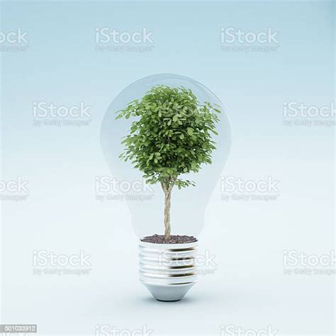 Light Bulb With Plant Stock Photo Download Image Now Light Bulb