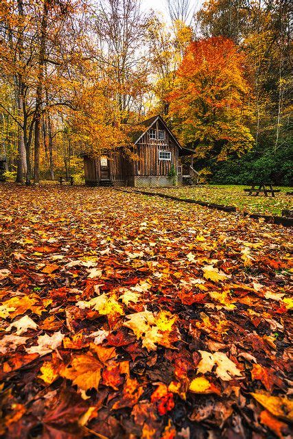 West Virginia Cabin In The Fall By Michael Matti West Virginia
