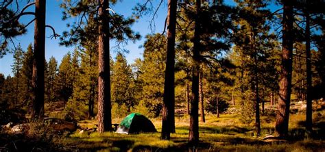 19 Best Delightful Destinations For Camping In Southern California