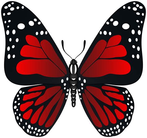 A Red And Black Butterfly With White Dots