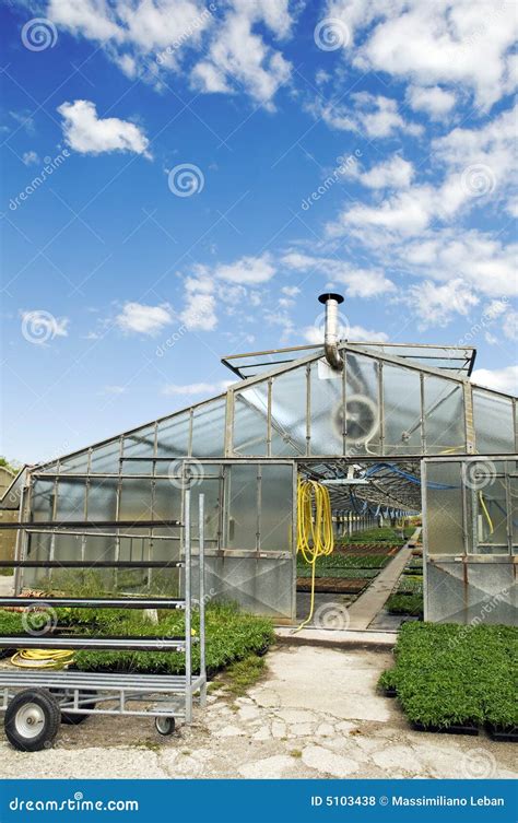 Greenhouse Stock Photo Image Of Flower Agricultural 5103438
