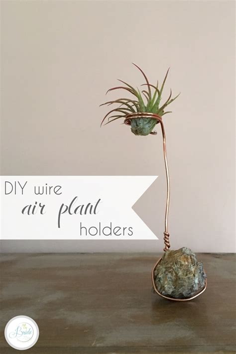 Air plants are the ideal indoor plants as they require minimal care. DIY Wire Air Plant Holders » Hill City Bride | Virginia Wedding Blog