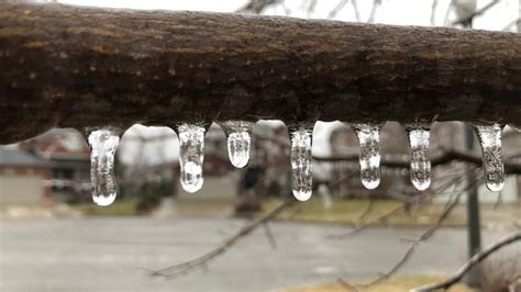 Freezing Rain Hits Windsor Essex And Chatham Kent Ctv News