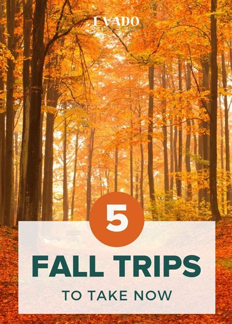 Five Amazing Fall Trip Ideas In The South Evado Travel Fall