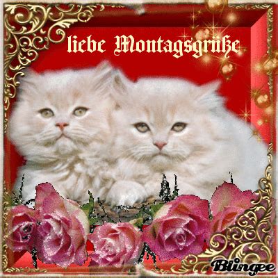 Schöne guten morgen sprüche guten morgen montag bilder. Montagsgrüße Bild #129871920 | Blingee.com