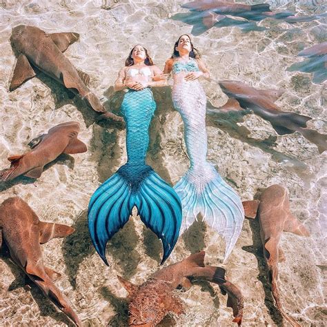 Image May Contain 2 People Outdoor Mermaid Pictures Mermaid