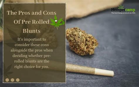 The Pros And Cons Of Pre Rolled Blunts Hempercamp