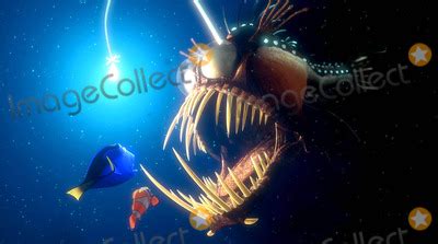 Photos and Pictures - Marlin, Dory, Angler Fish Finding Nemo Movie