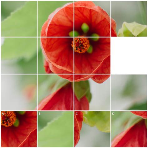 We did not find results for: Can you guess which piece is missing? Comment your answer ...