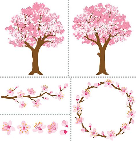 Cherry Blossom Clip Art Vector Images And Illustrations