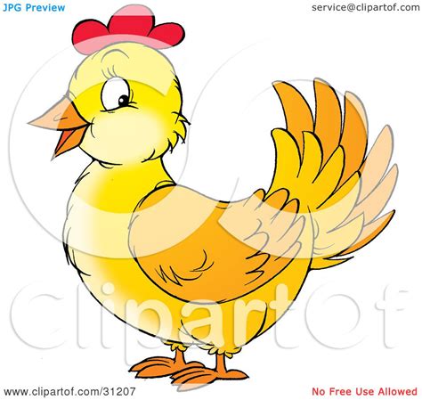 Clipart Illustration Of A Friendly Yellow Chicken Hen With Red On Her