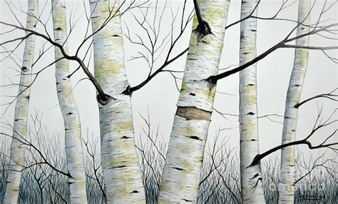 Birch Trees In The Forest In Watercolor Painting By Christopher