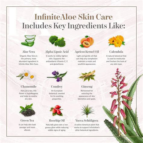 Infinitealoe Skin Care Ingredients List Infinitealoeshop