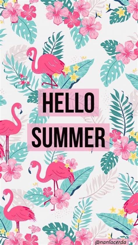 Cute Hello Summer Wallpapers Top Free Cute Hello Summer