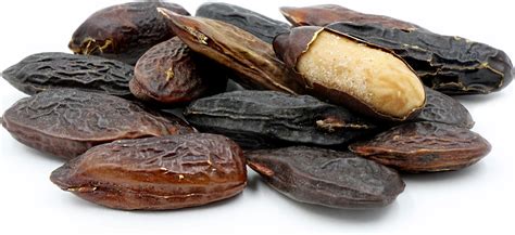 This handy how to cook with tonka beans guide from great british chefs explores various different ways of cooking with tonka beans. Tonka Bean Information, Recipes and Facts