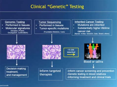 Genetics In Prostate Cancer Identification Of Inherited Pca Risk