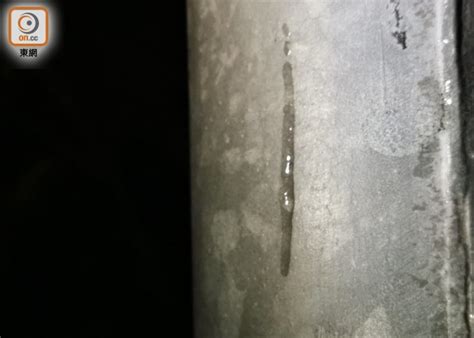 September 4 at 6:55 pm ·. 寒冷天氣警告生效 大帽山氣溫跌至-2.2°C結霜｜即時新聞｜港澳｜on.cc東網