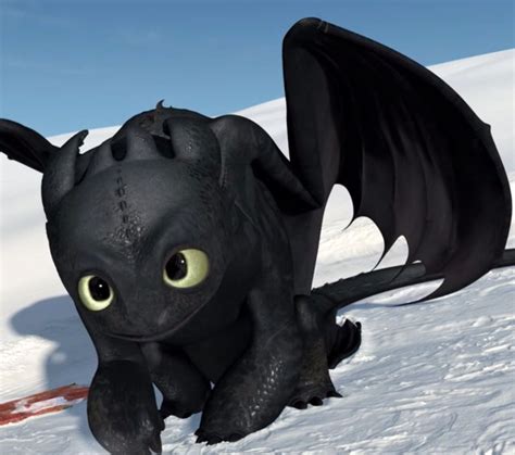 Cute Toothless How Train Your Dragon How To Train Your Dragon
