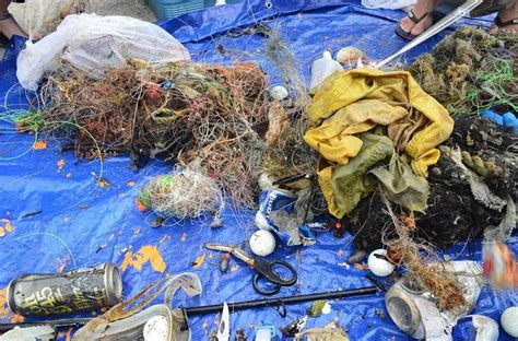 this picture only shows a small fraction of the marine debris collected during the juno beach