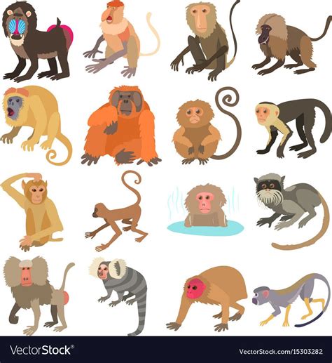 Monkeys Types Icons Set Cartoon Illustration Of 16 Monkeys Types