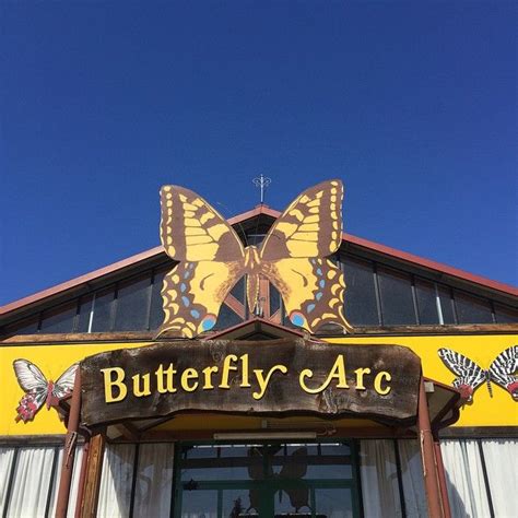 Casa delle farfalle di bordano casa delle farfalle a modica: @gallinepadovane ButterflyArc la casa delle farfalle delle ...
