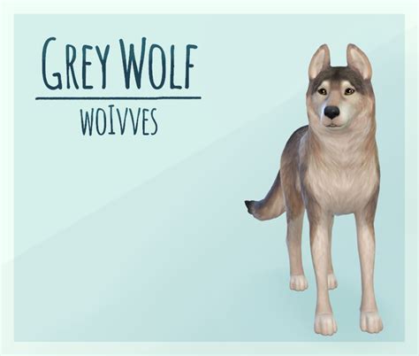 Sims 4 Wolf Feet