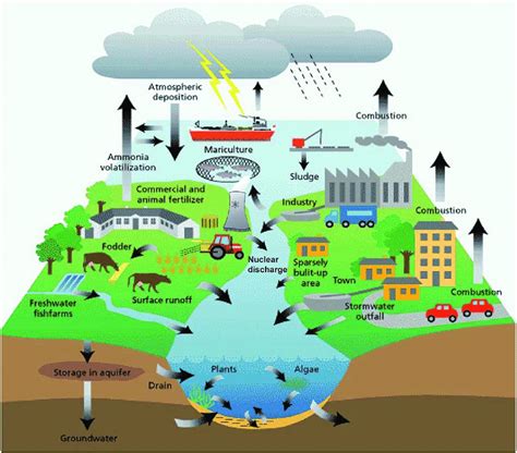 Sources Of Groundwater Contamination In The Hydrologic Cycle 4
