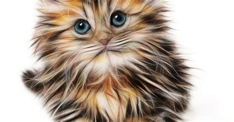 500+ Daftar Nama Hewan Peliharaan yang Lucu Lengkap A-Z - HoBinatang