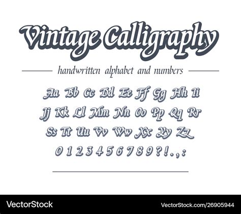 Vintage Calligraphy Hand Drawn Outline Alphabet Vector Image