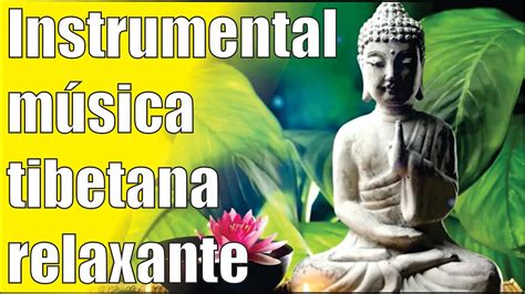 Música de relajación puede concentrarse mejor y ser más eficaz para estudiar en muchas situaciones Música tibetana relaxante instrumental para estudar concentração, dormir, meditar - YouTube
