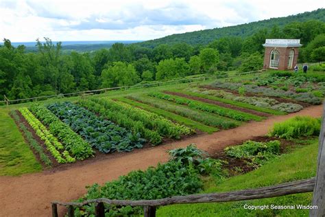 Learn How Thomas Jefferson Created His Renowned Garden Laboratory At