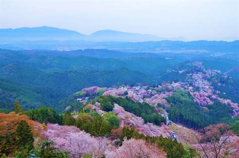 Best Places To Visit In Japan During Spring ~ Travel News